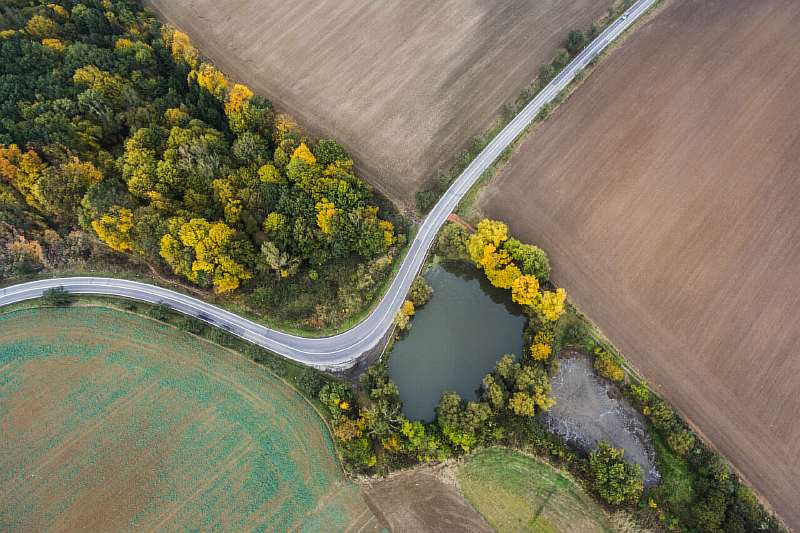Бизнес на выращивании кукурузы