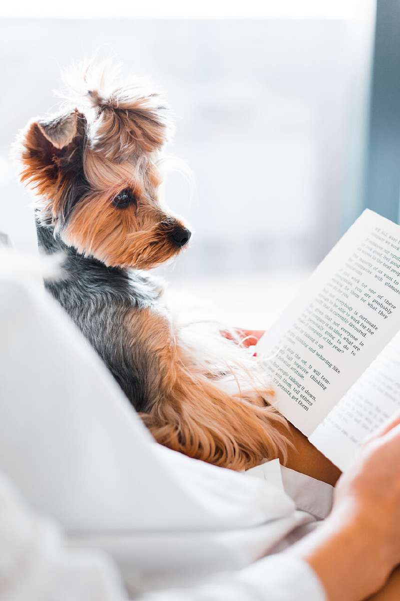 Что почитать для саморазвития: 30 книг для самосовершенствования Что почитать для саморазвития: 30 книг для самосовершенствования