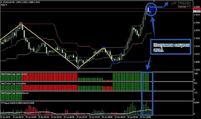 Профессиональная торговая стратегия Math Trader для бинарных опционов